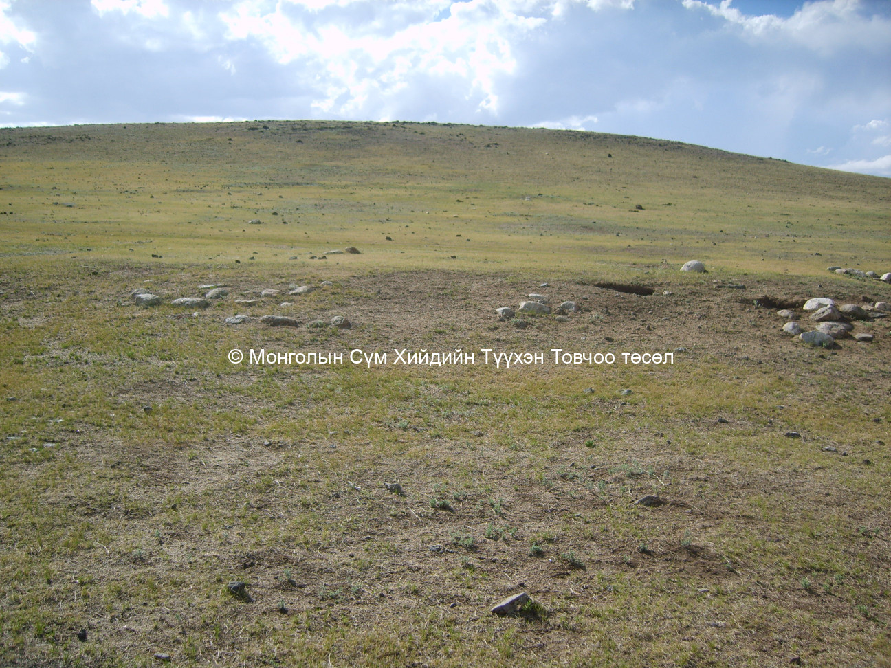 Өмнөд талаас авсан 